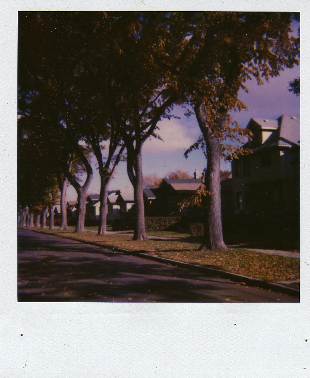 img210.jpg