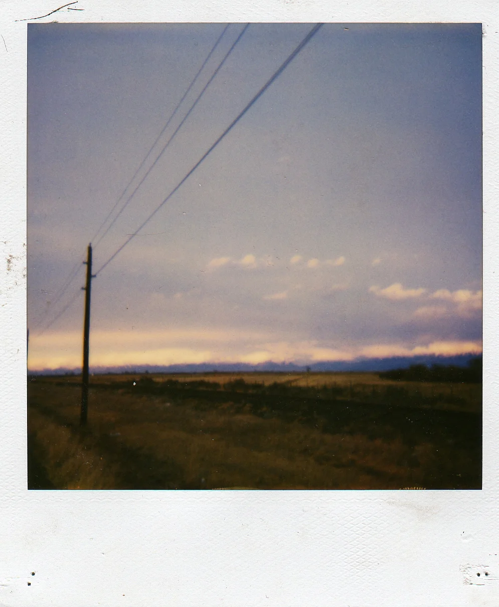 img231.jpg