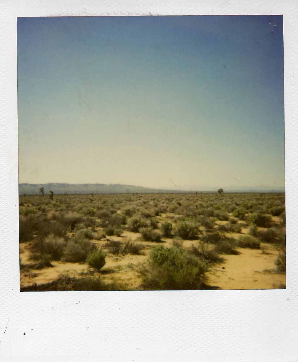 img279.jpg