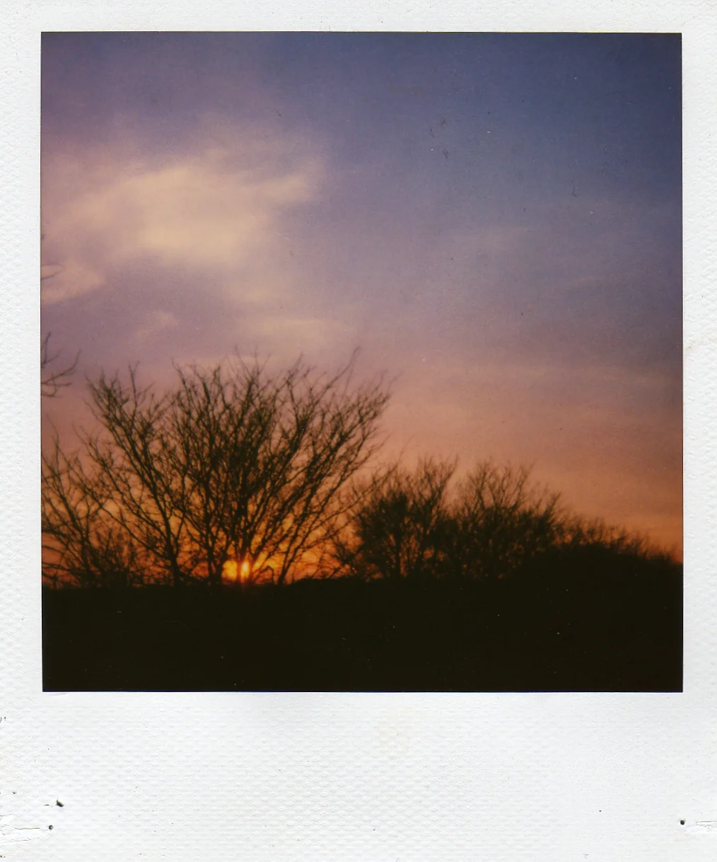 img300.jpg