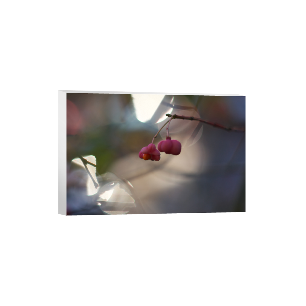 ptq_7_3_0_192_4608_3072_0_false_ffffff_0_0_.png