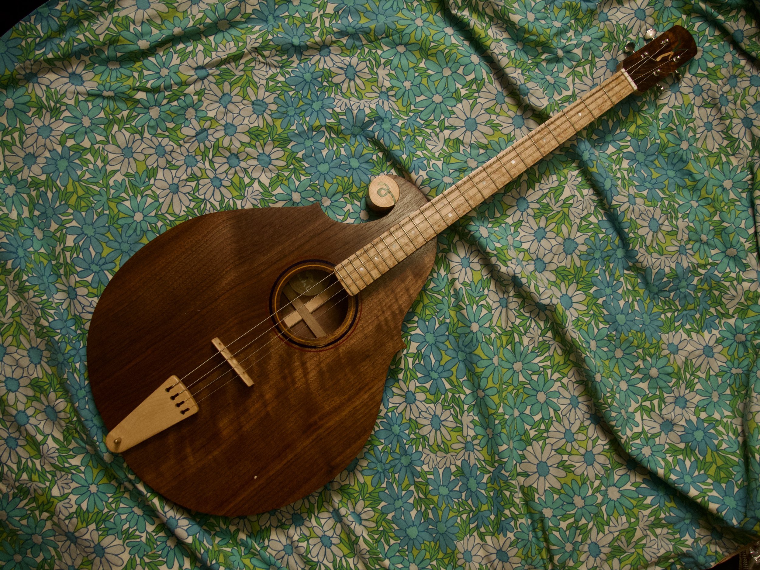 P2570312.jpeg