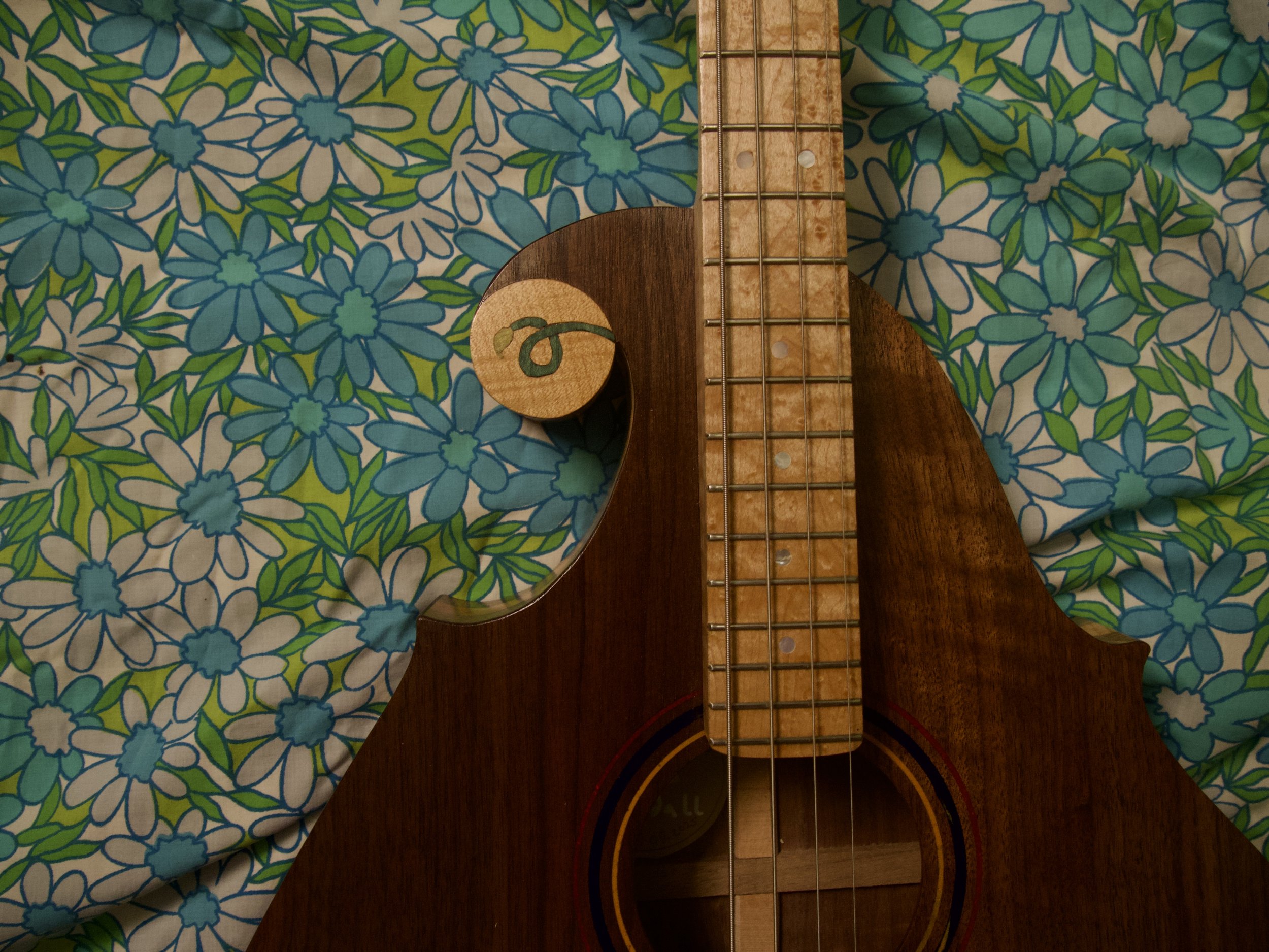 P2570322.jpeg