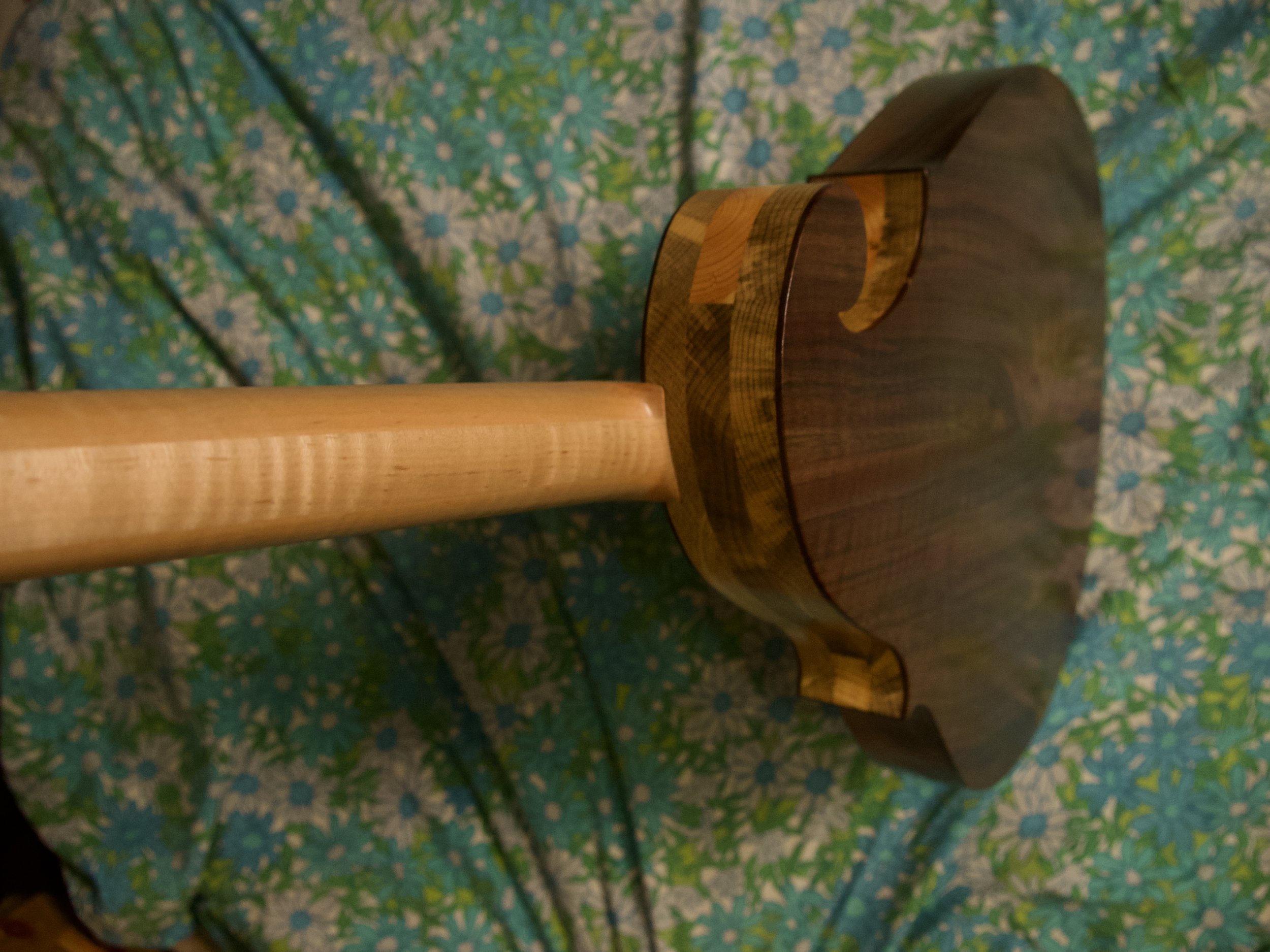 P2570331.jpeg