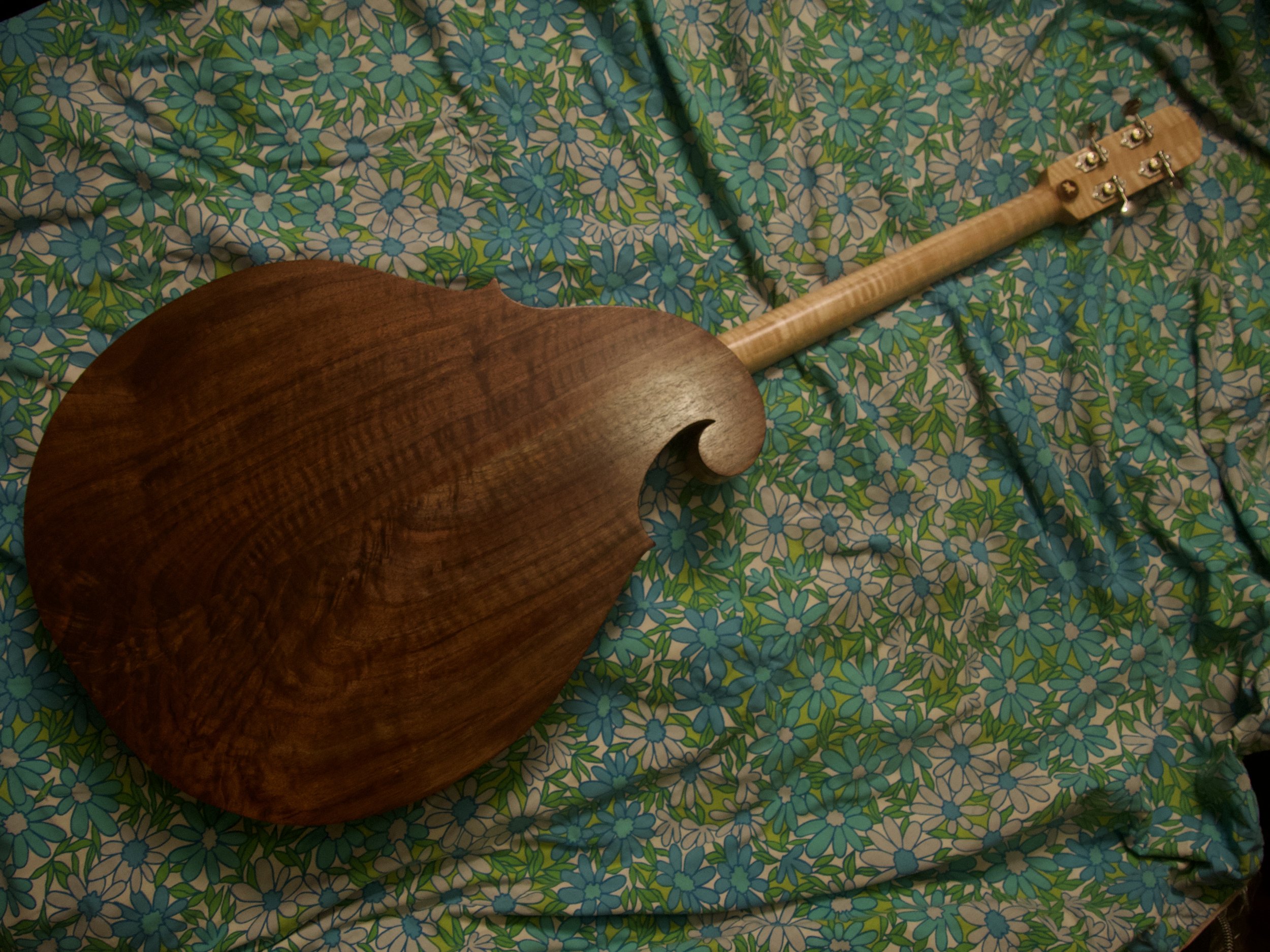 P2570351.jpeg