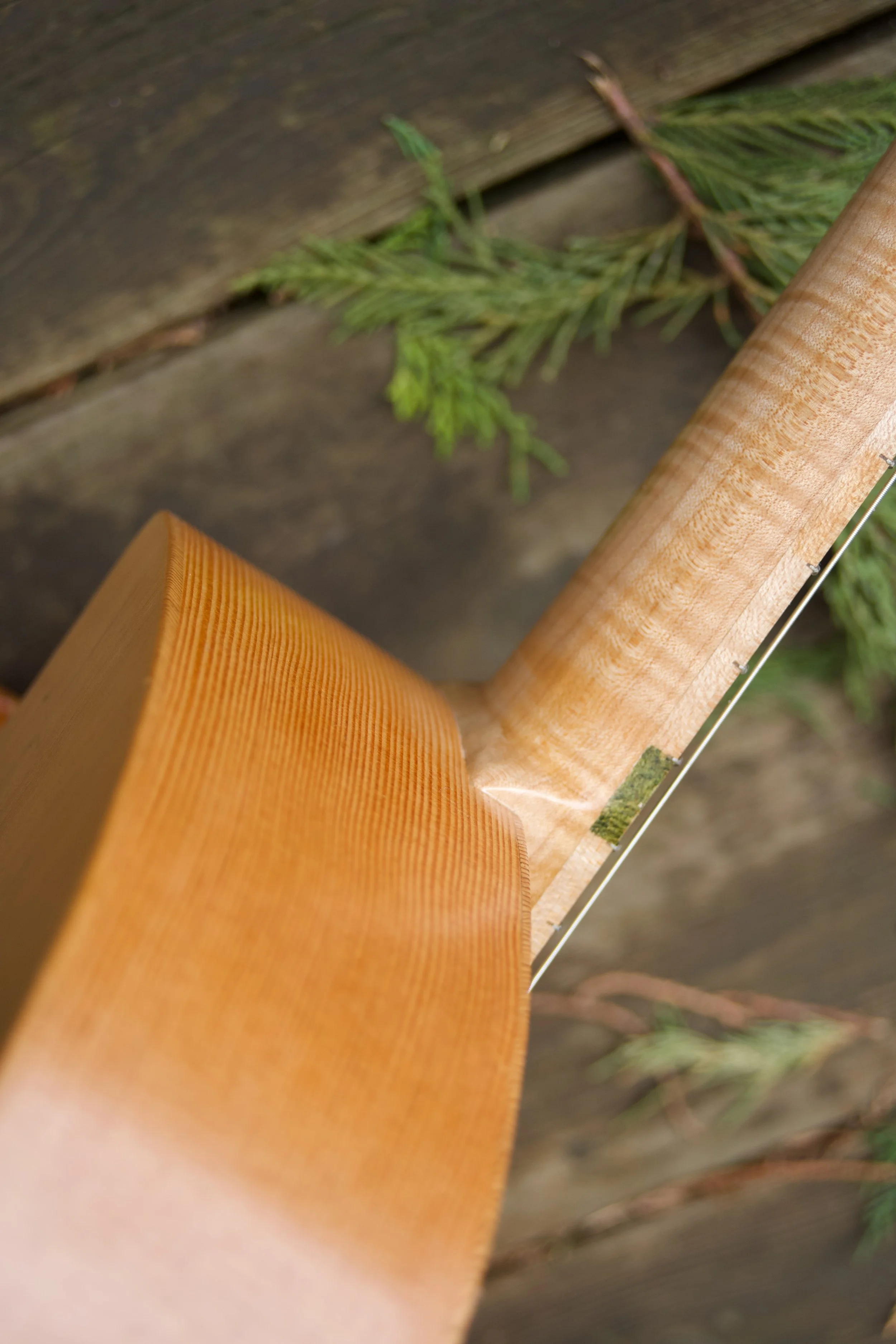 P1002308.jpeg