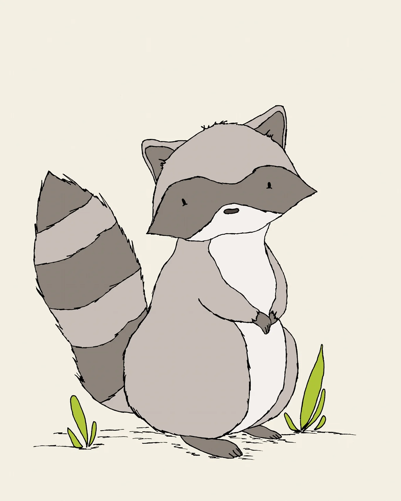 Raccoon8x10MainSHot.jpg