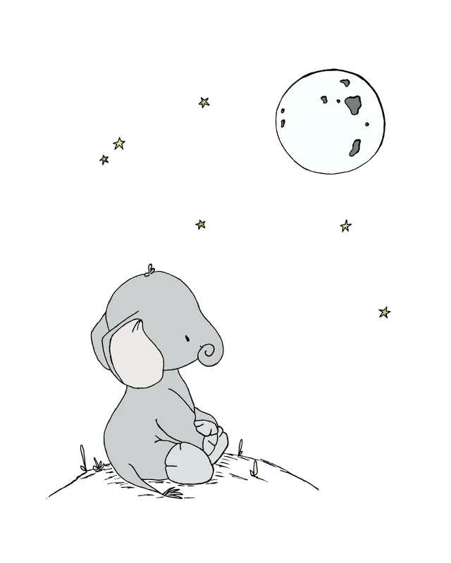 019setWHITEElephantSeeTheMoon8x10PrintVersion.jpg