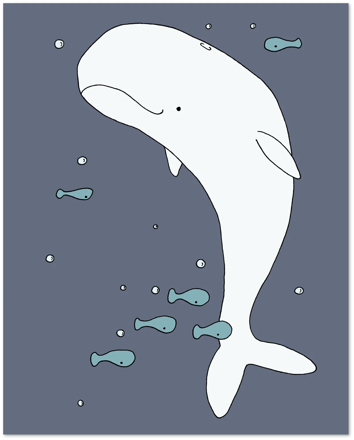 019setBeluga8x10PrintVersion.jpg