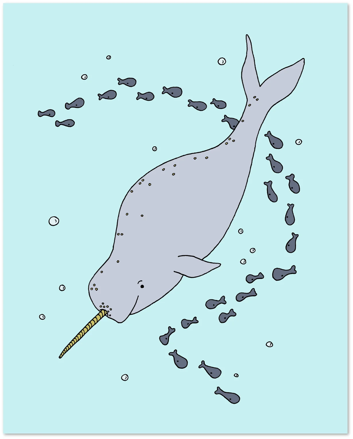 019setNarwhal8x10PrintVersion.jpg