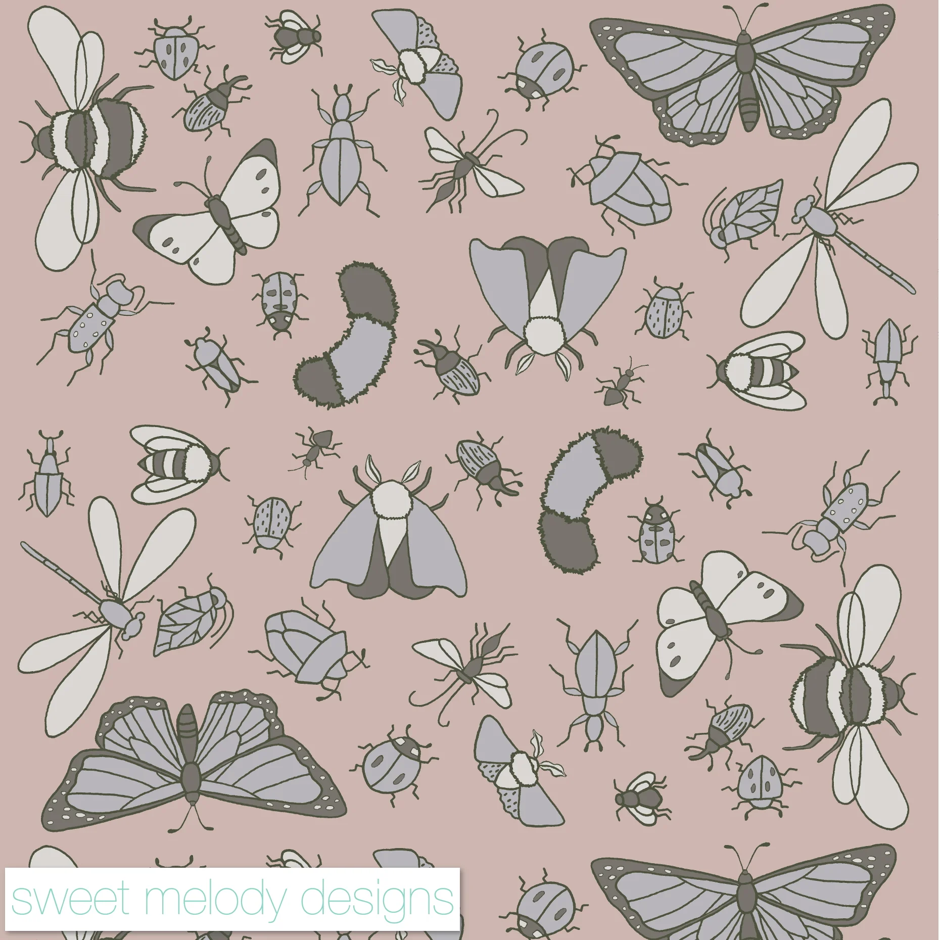 Study of Insects