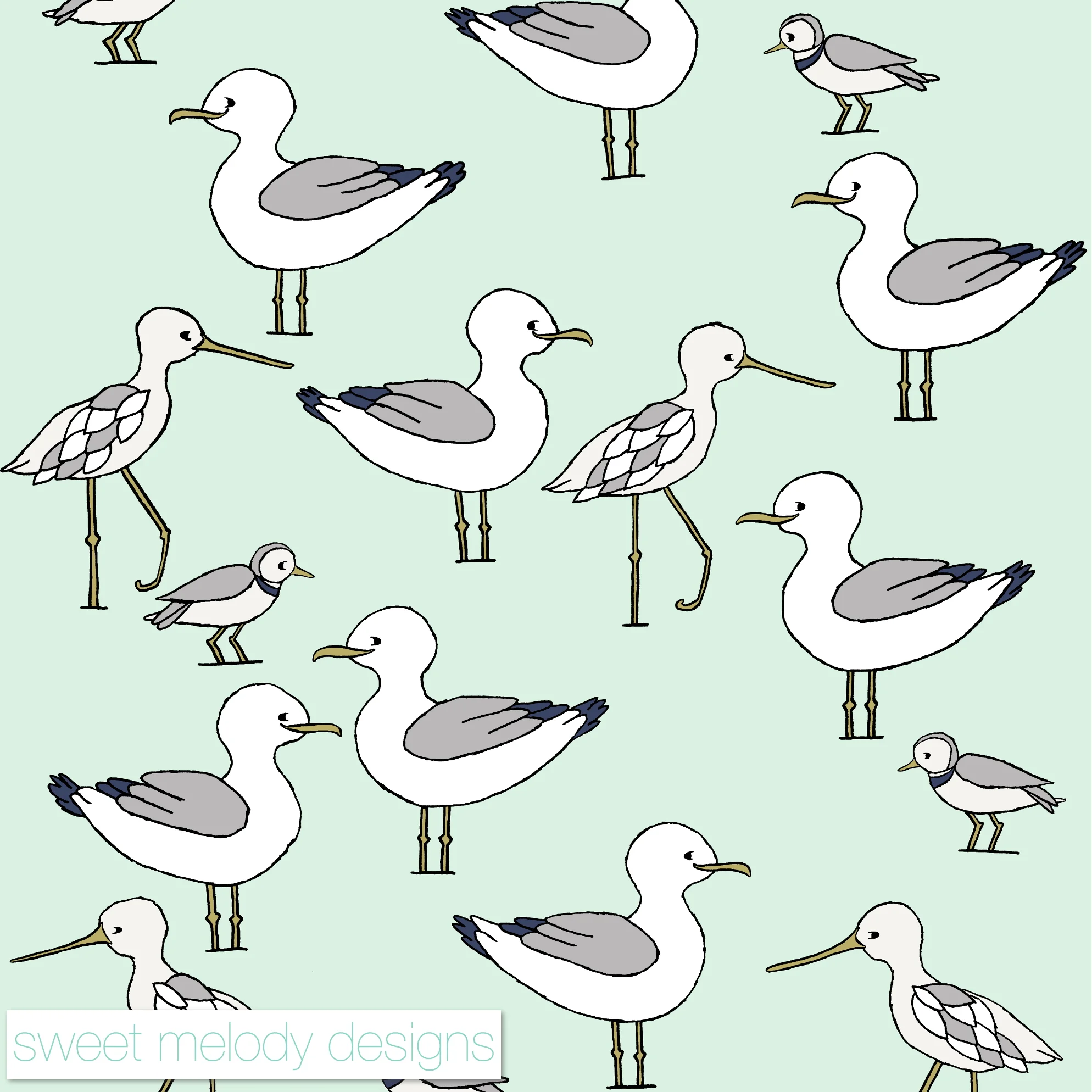 Beach Birds