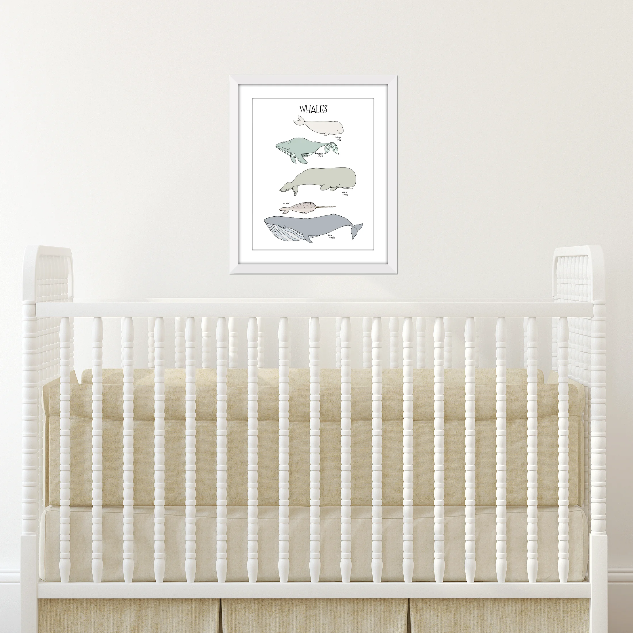 Whale Nursery Art - A Chart of Whales - by Sweet Melody Designs