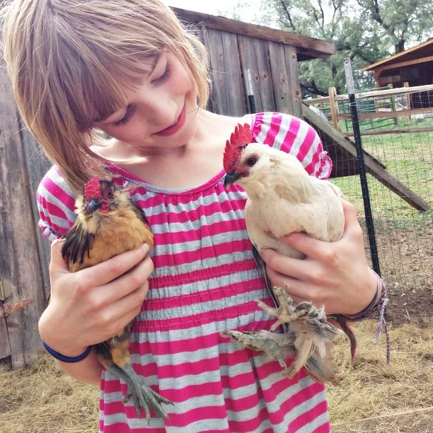 tag_happyjanssenfarm_1370392736