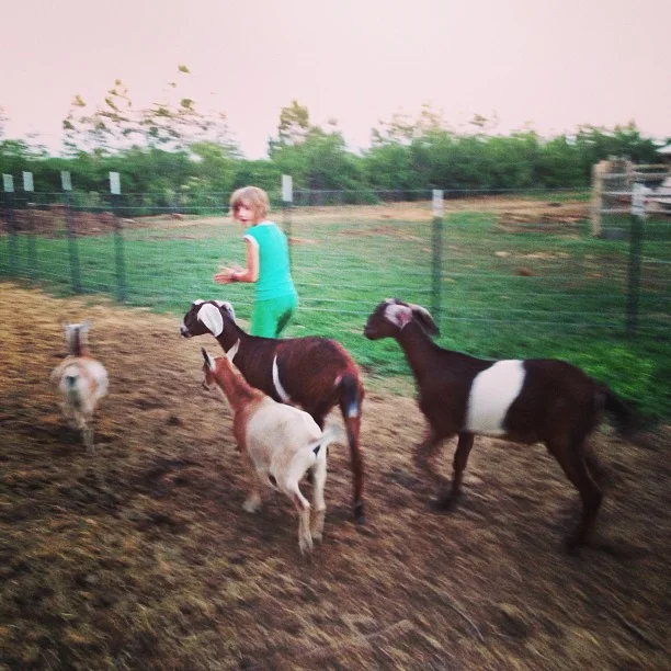 tag_happyjanssenfarm_1370839211