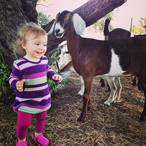 tag_happyjanssenfarm_1370823949