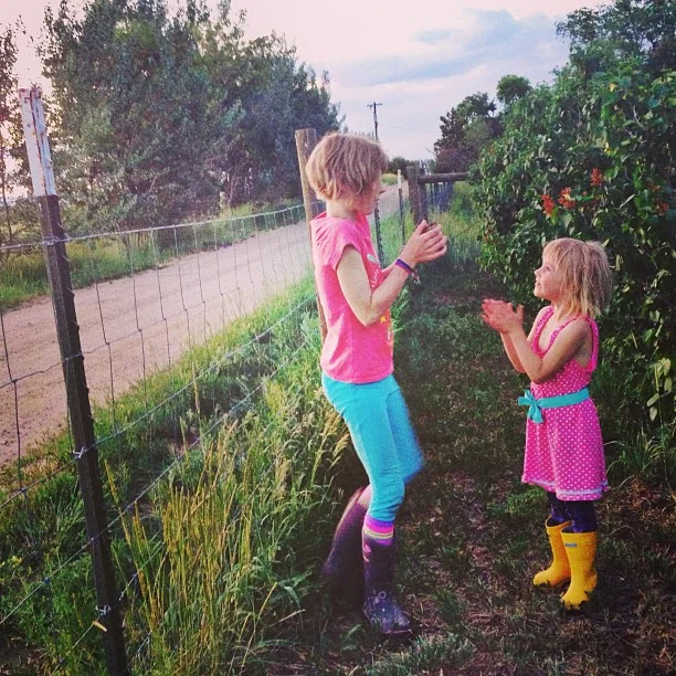 tag_happyjanssenfarm_1370665824