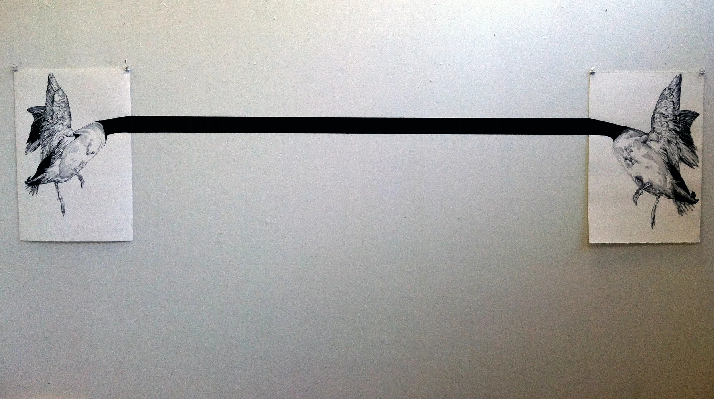 taut_1.jpg
