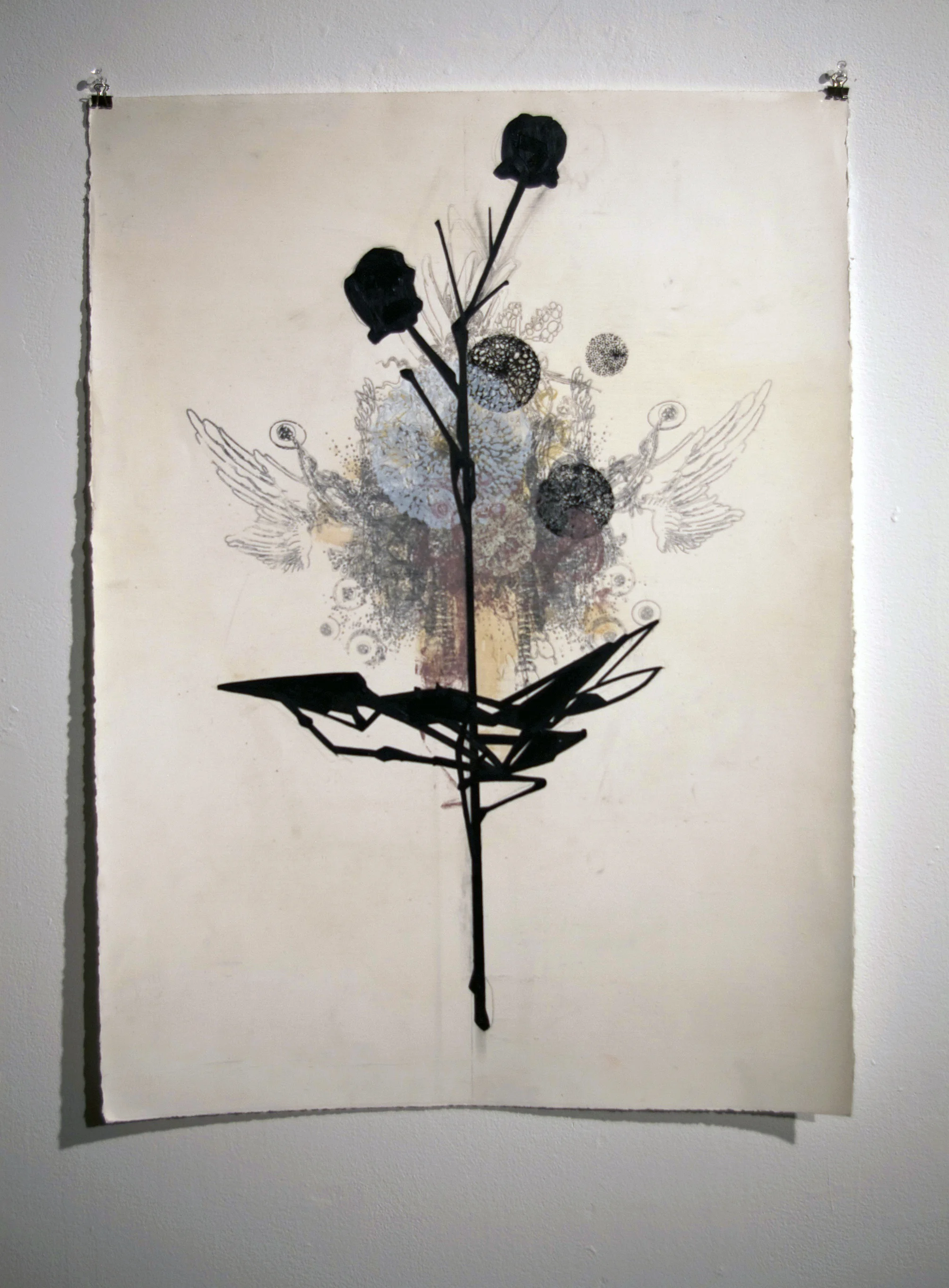 growth observation #2