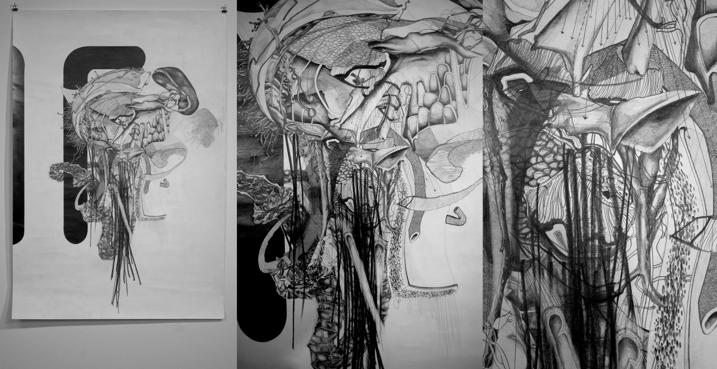 another essay (w/ details)