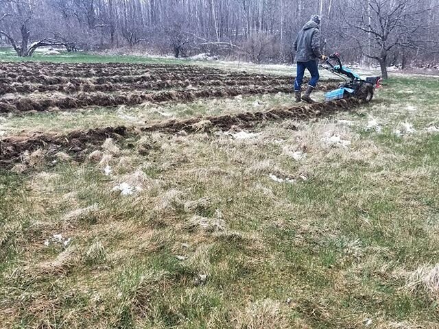 Gardening in the snow...
Big thanks to @bigfootlikesfarming for his help and wisdom. #vt