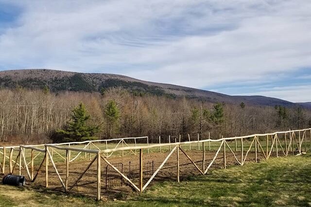 Garden fence is comin together... #garden