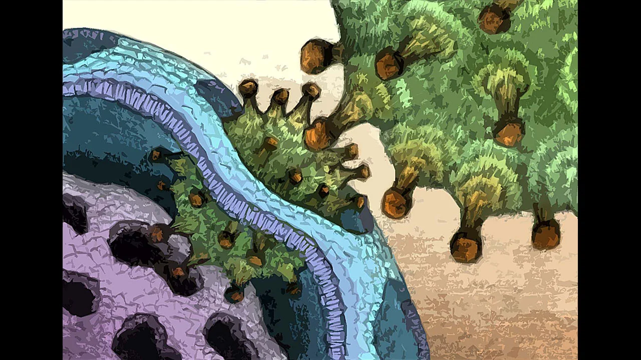 Rosenberg_Influenza.jpg