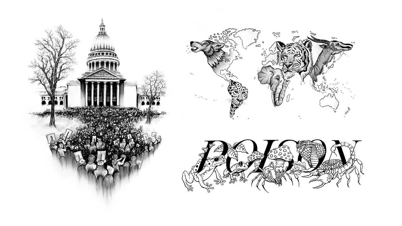 Rosenberg_Illustrations.jpg