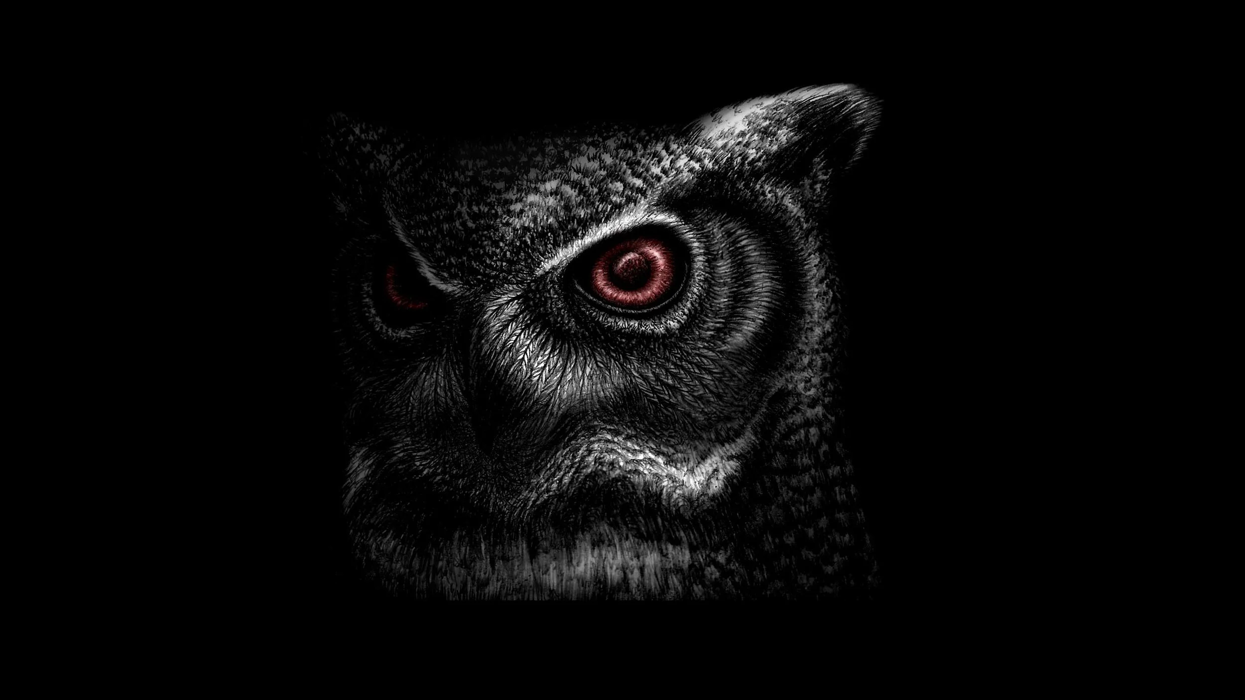 Night_Owl_Art.jpg