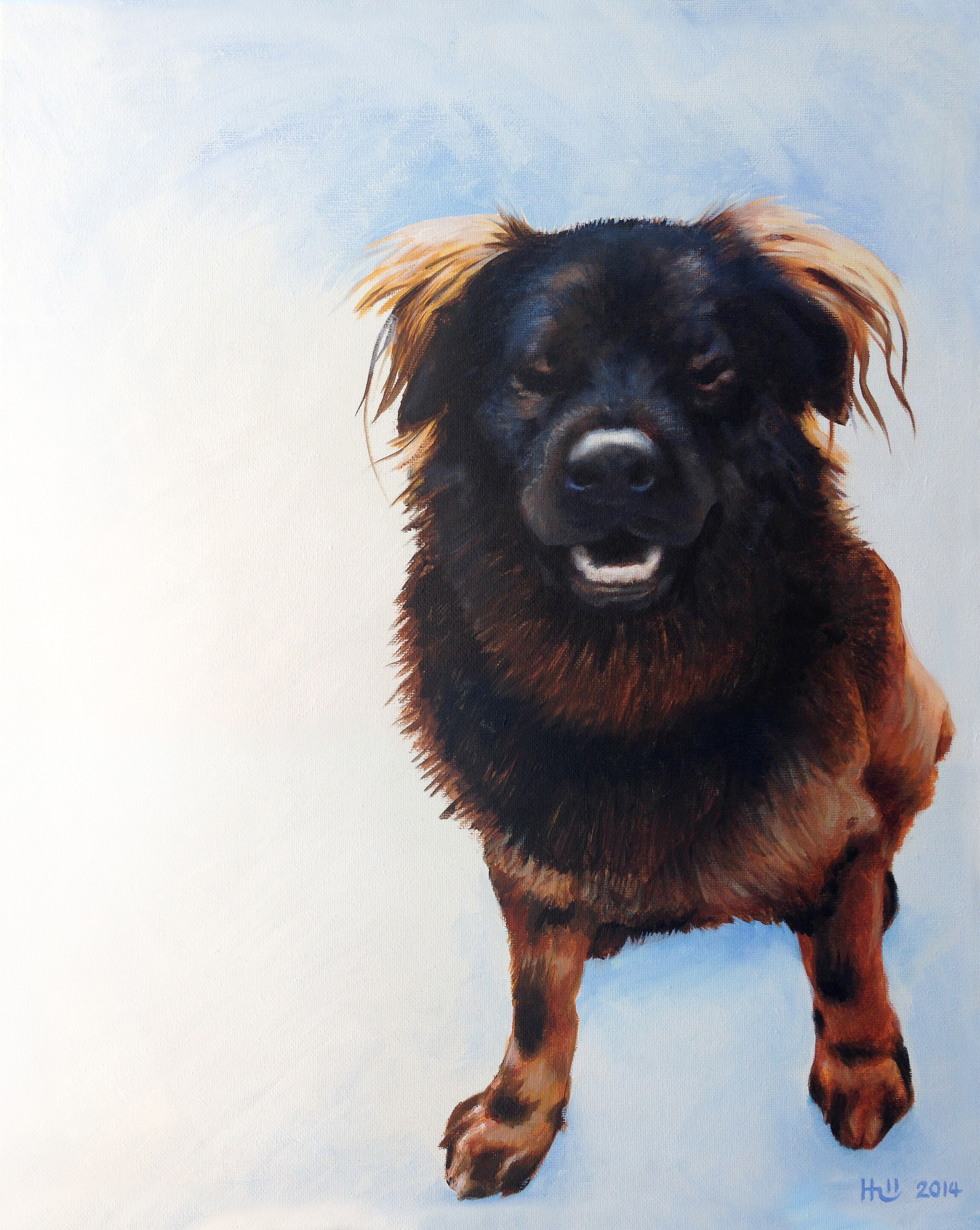 Gus1_300_by_Kevin_Hill.jpg