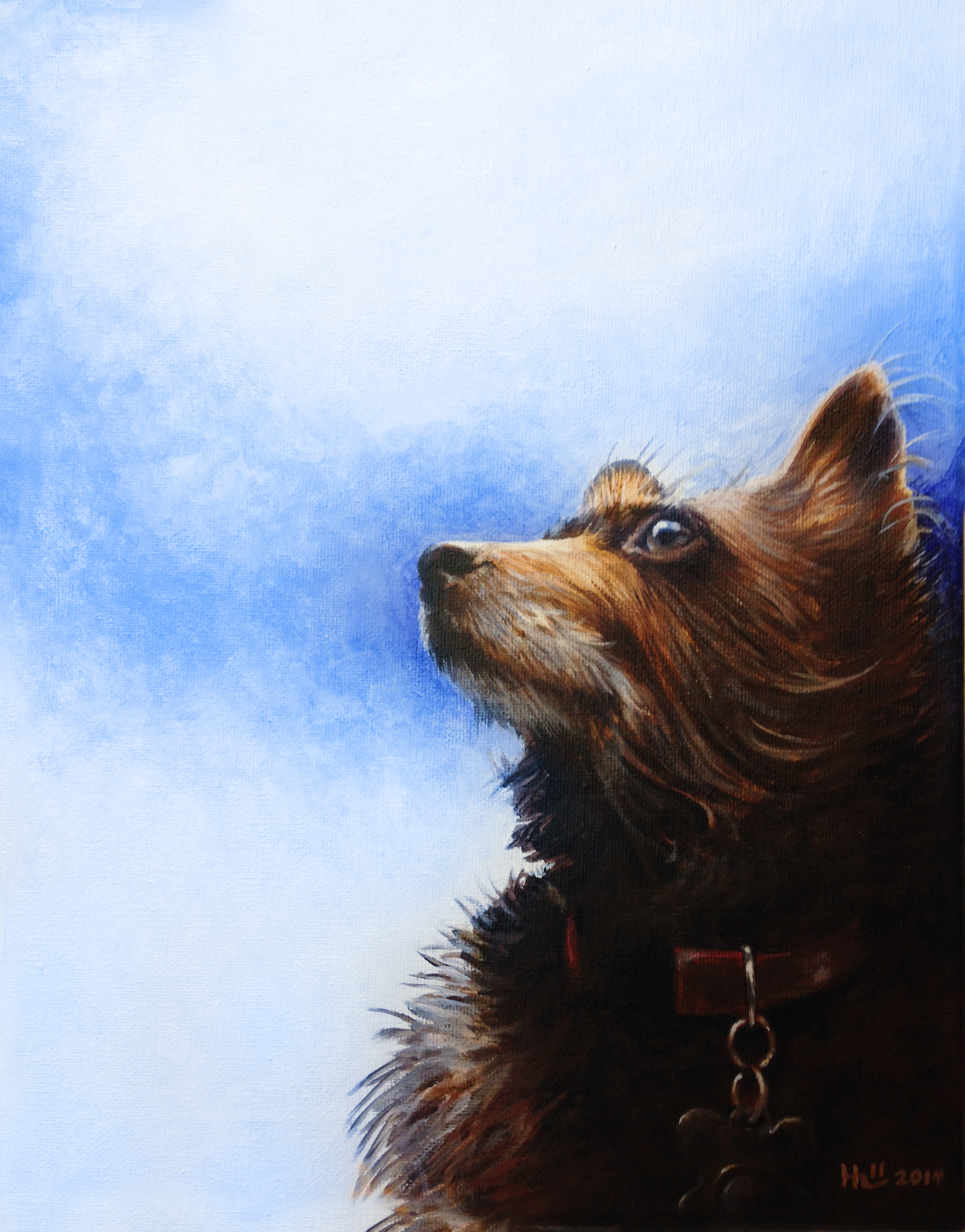 Cocoa1_72_by_Kevin_Hill.jpg