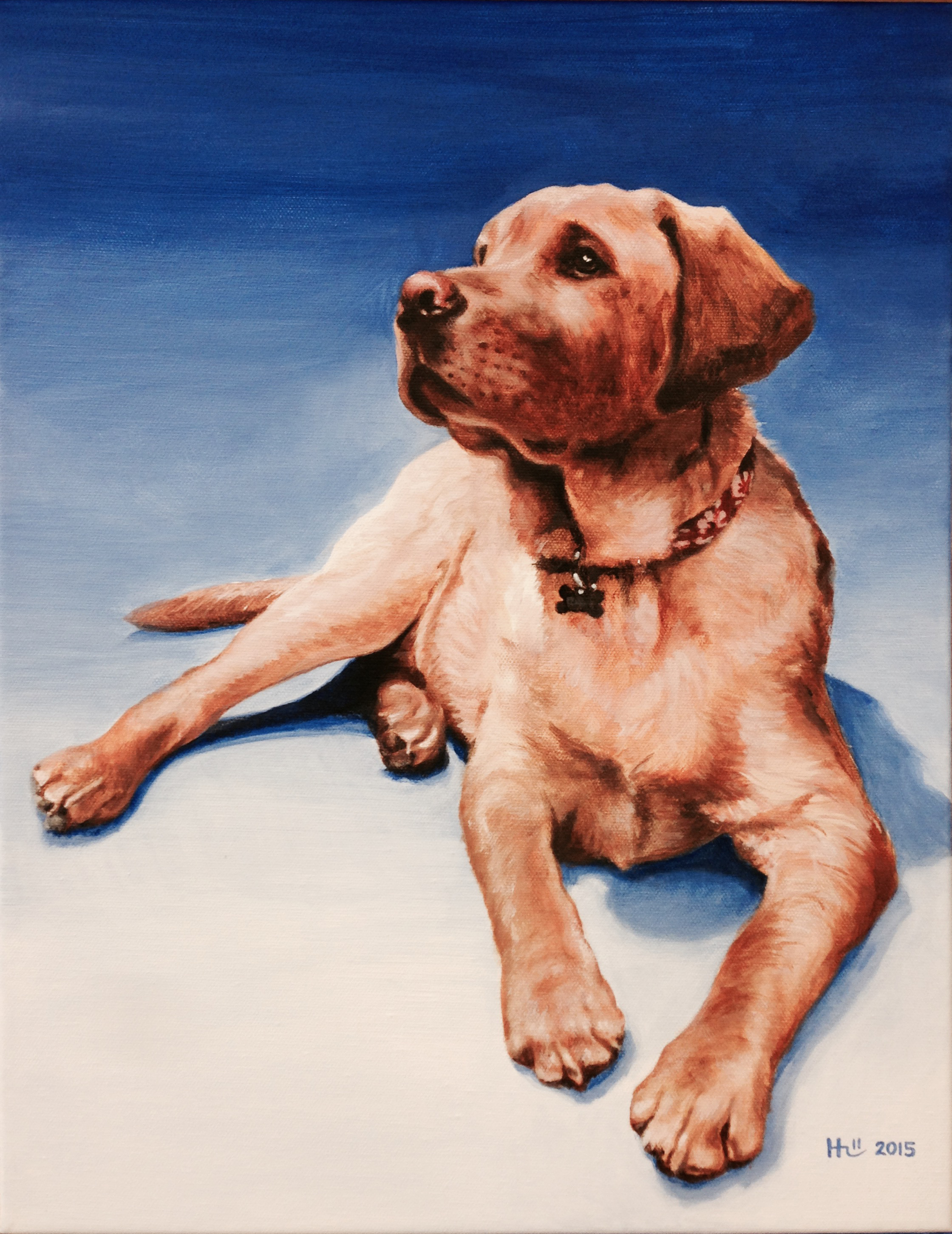 Cooper cropped.jpg
