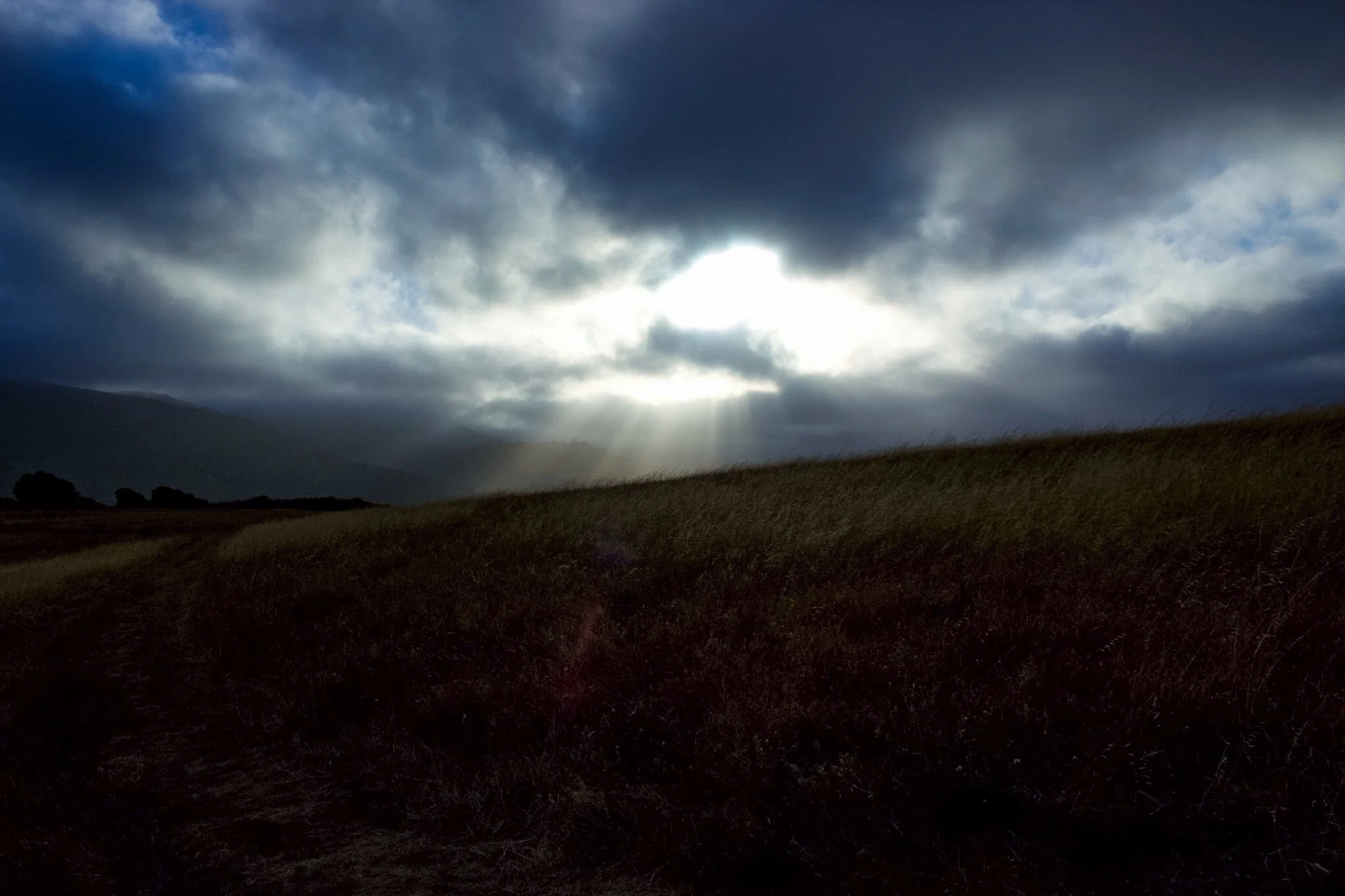 Light Rays, Point Reyes