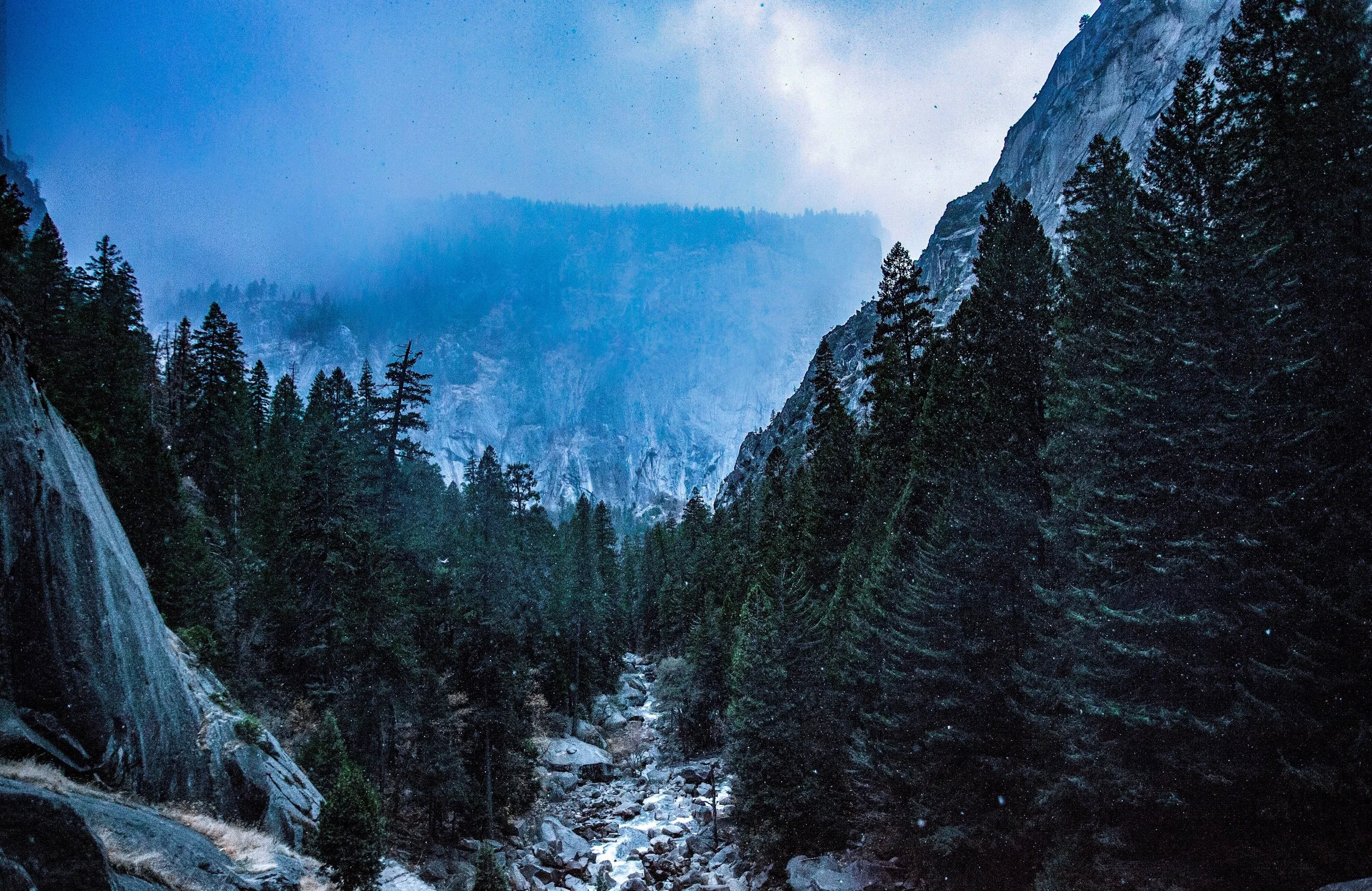 Yosemite Snow