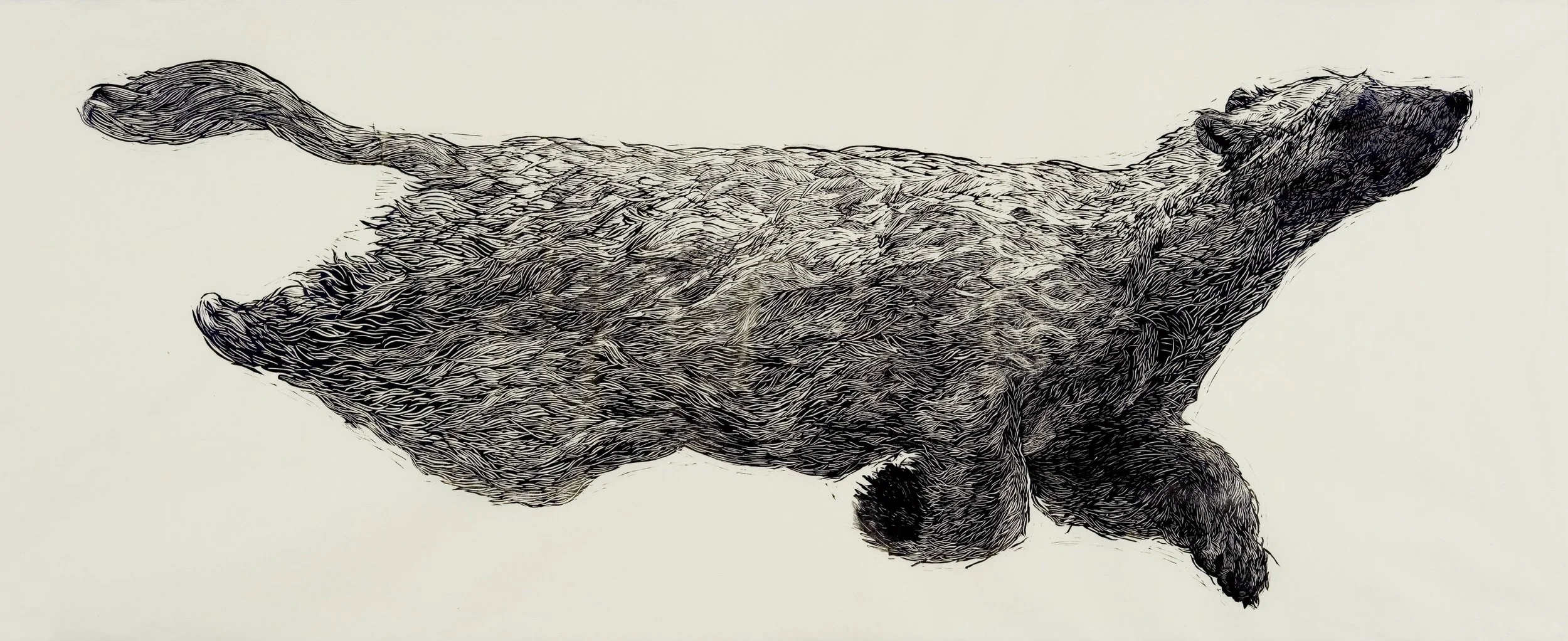 Howell_Aliene_Ursa Major Lost at Sea copy.jpg