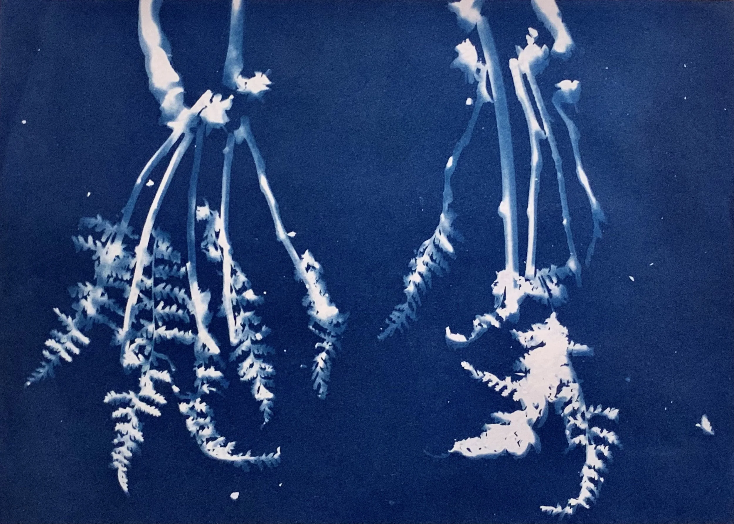 3. Skeleton hands.jpeg