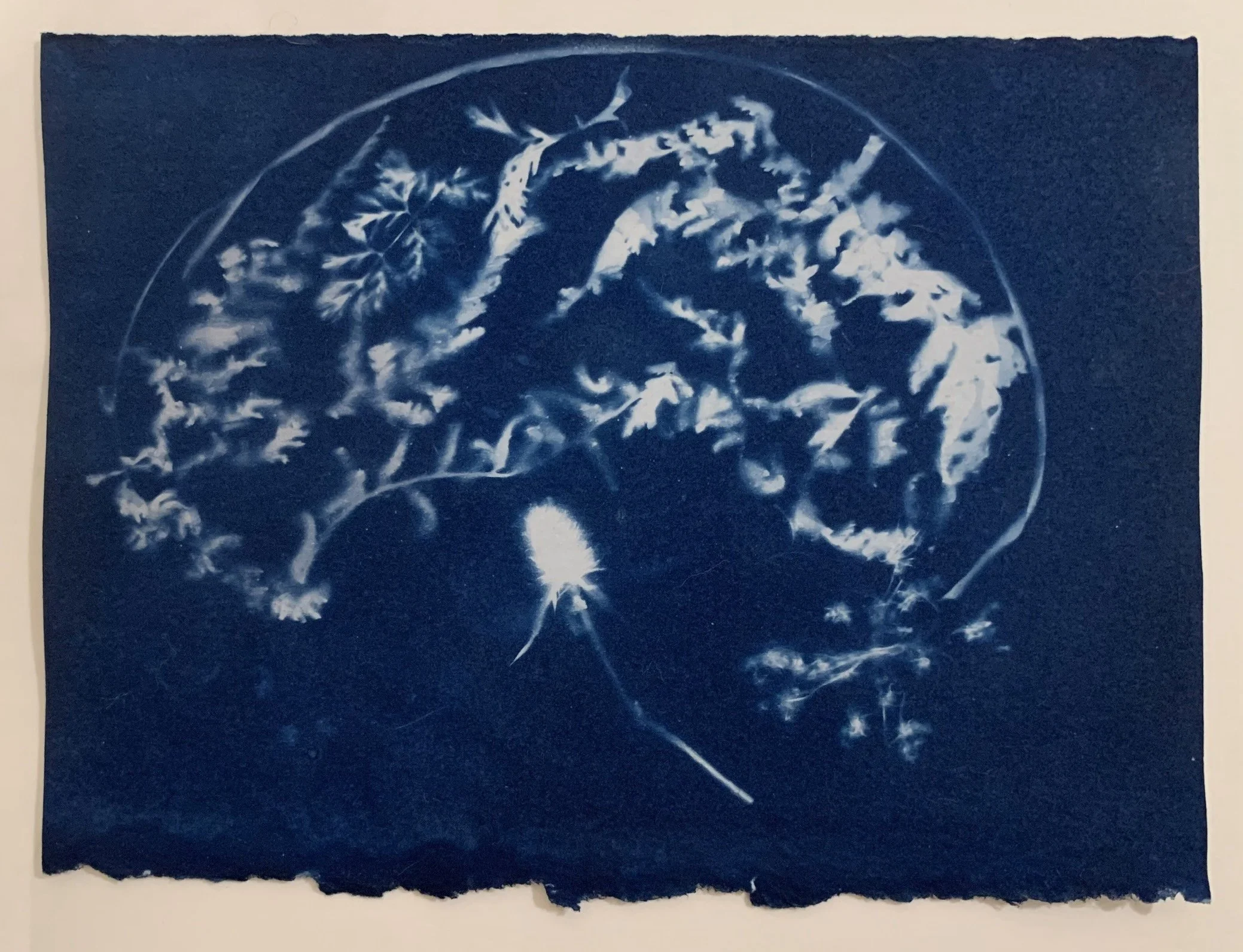 5. Little Brain.jpeg