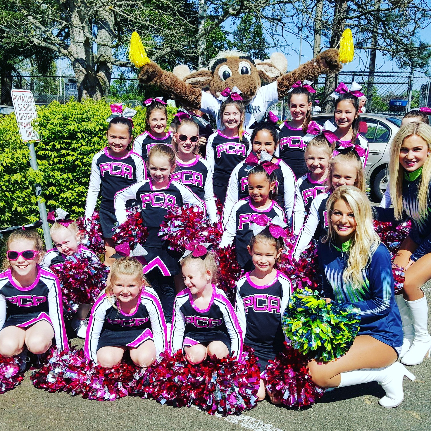 2016 Daffodil Parade