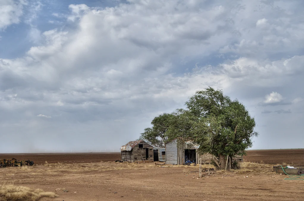 Dust Wind, 2012