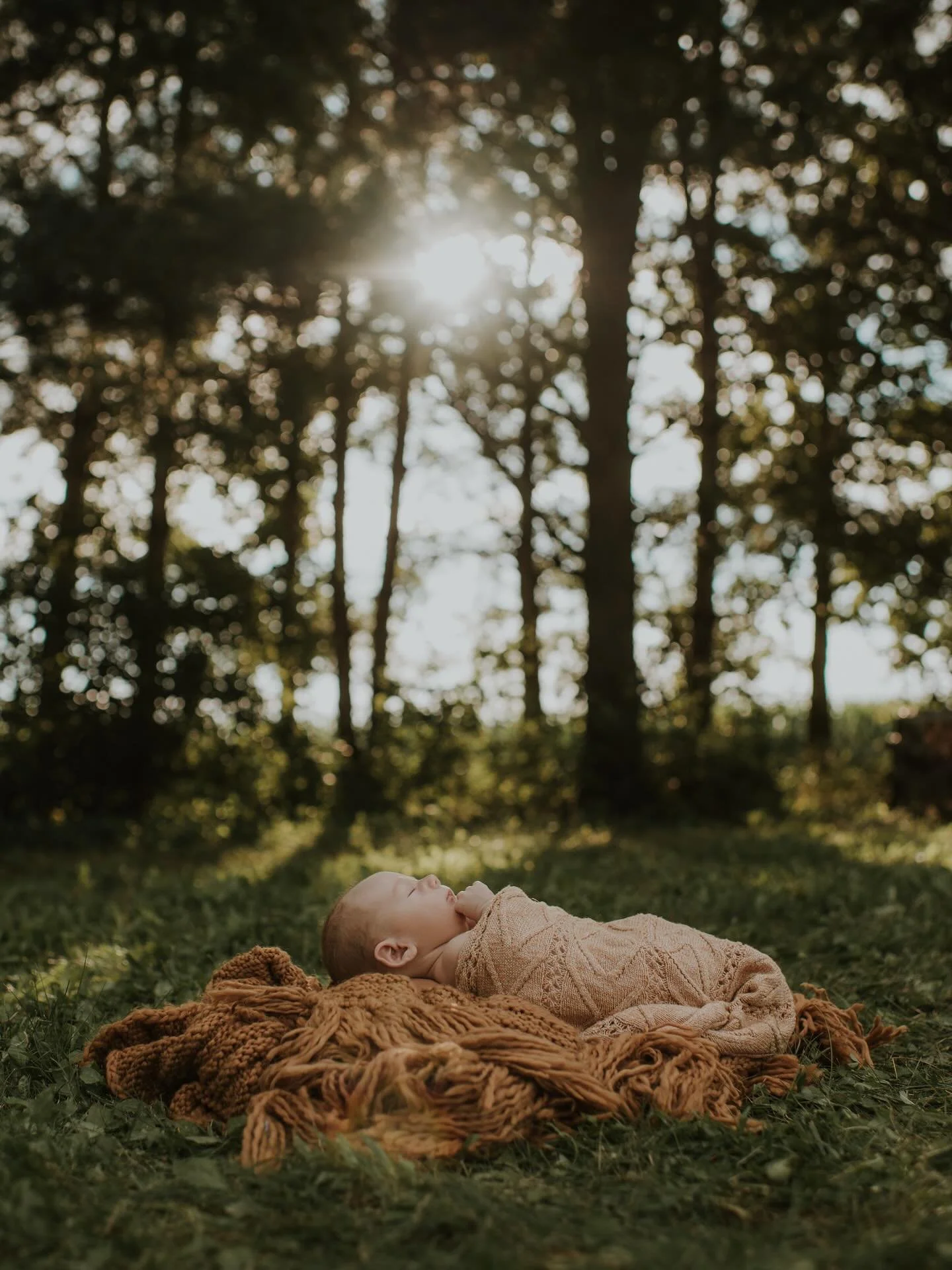 Just a little boy in the sun ✨