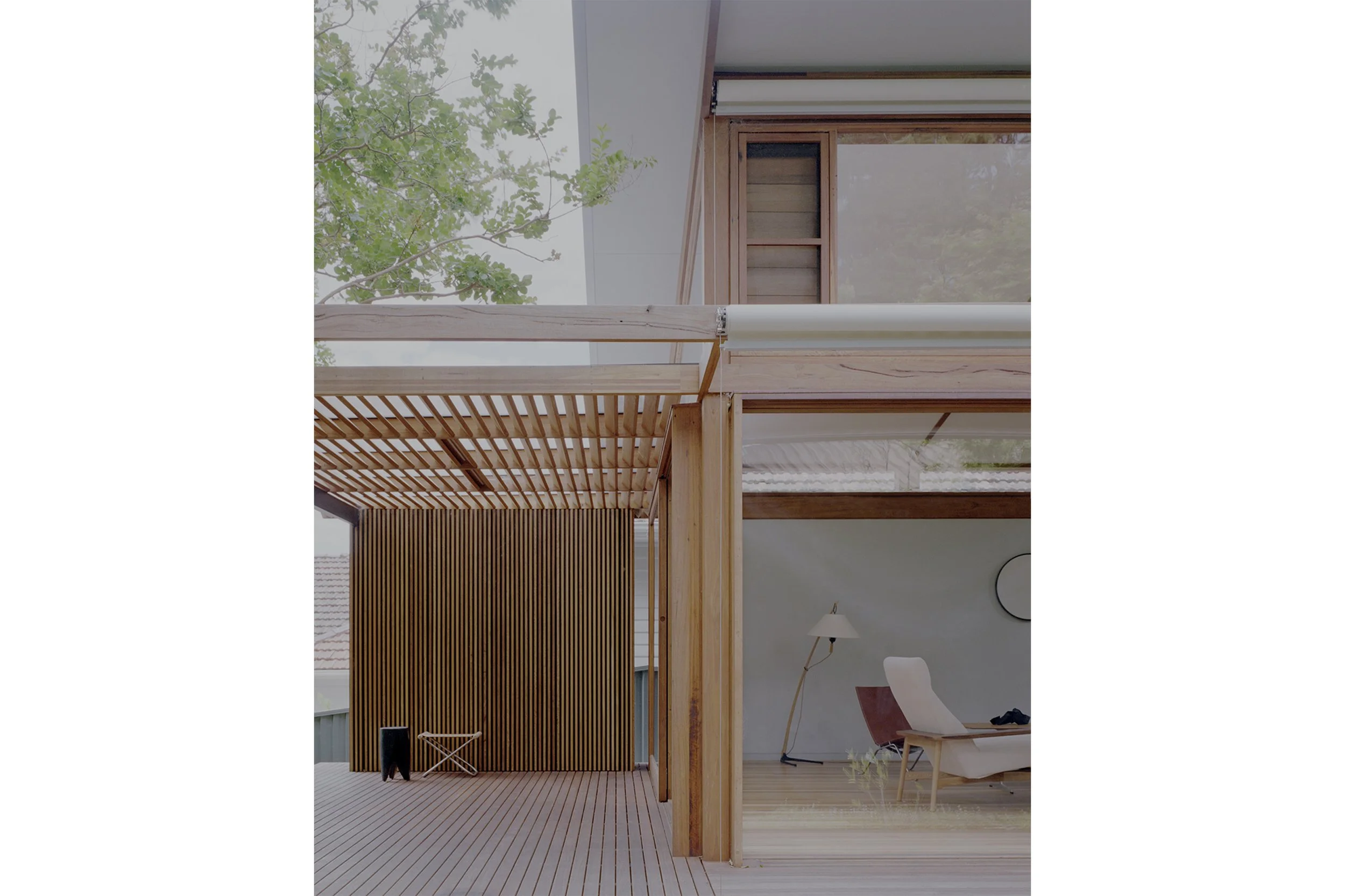 Butterfly_House_Web_03.jpg
