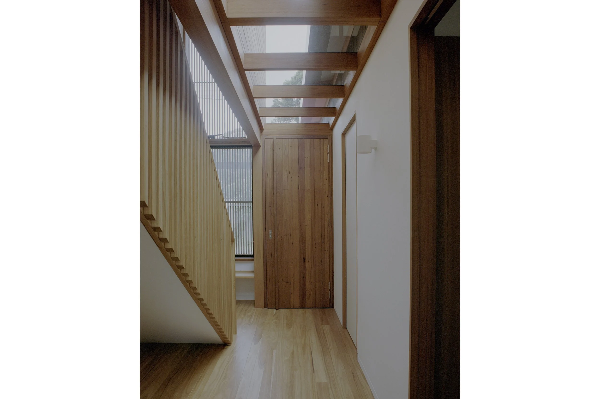 Butterfly_House_Web_07.jpg