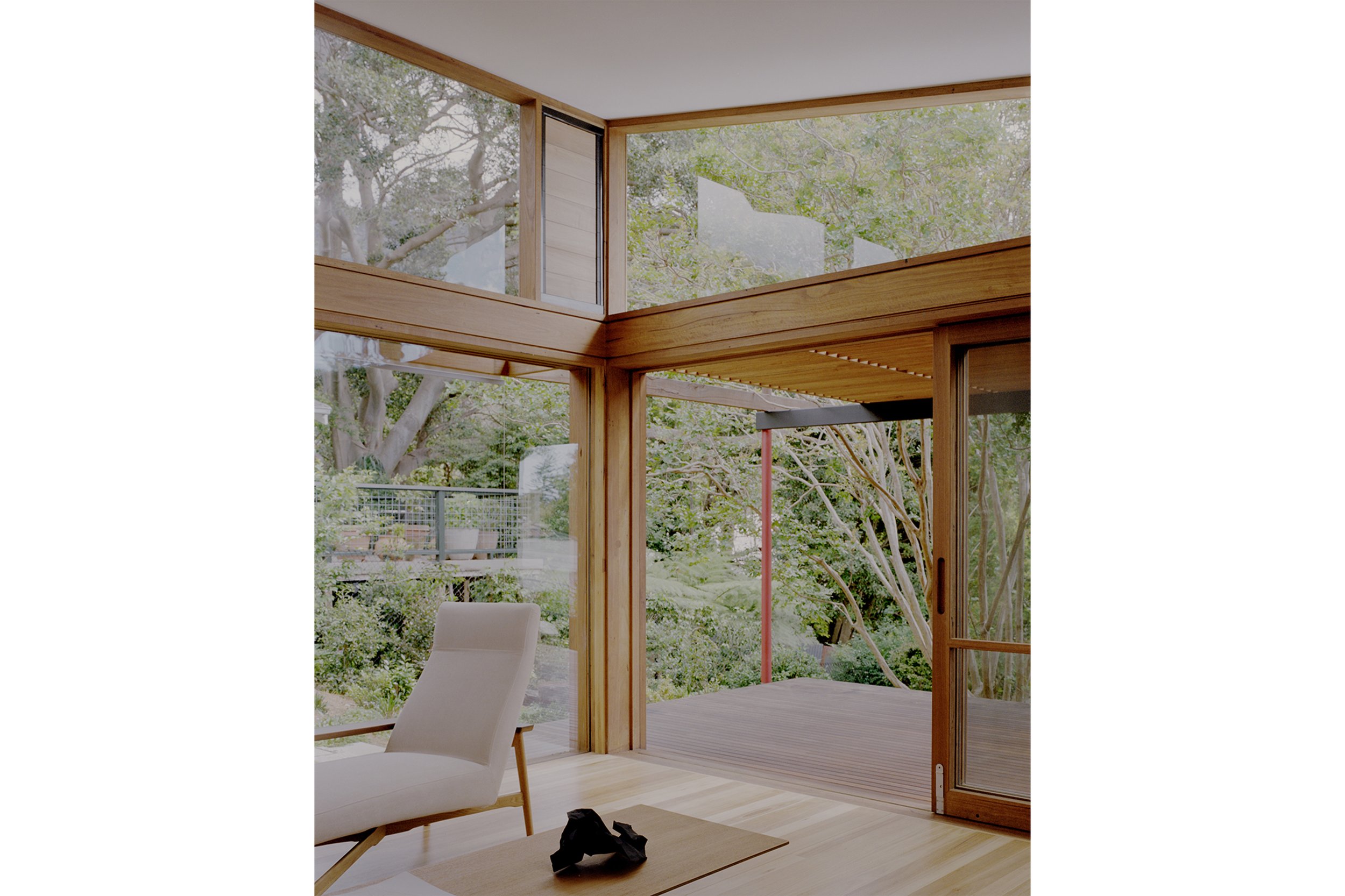 Butterfly_House_Web_14.jpg