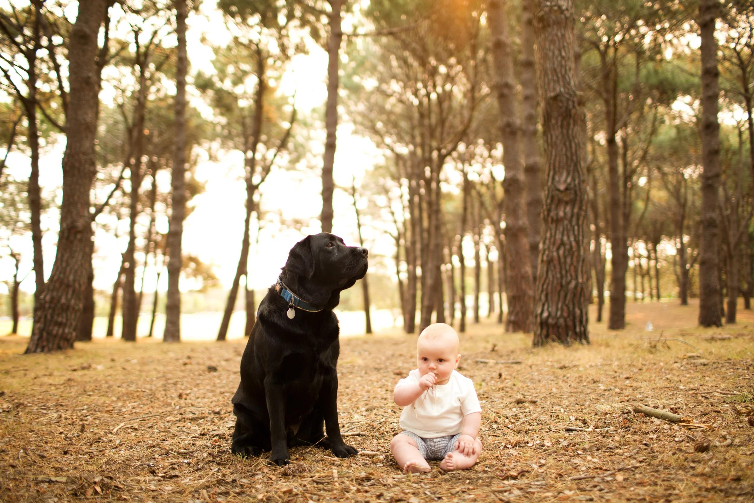 The Maternity Photographer-61.JPG