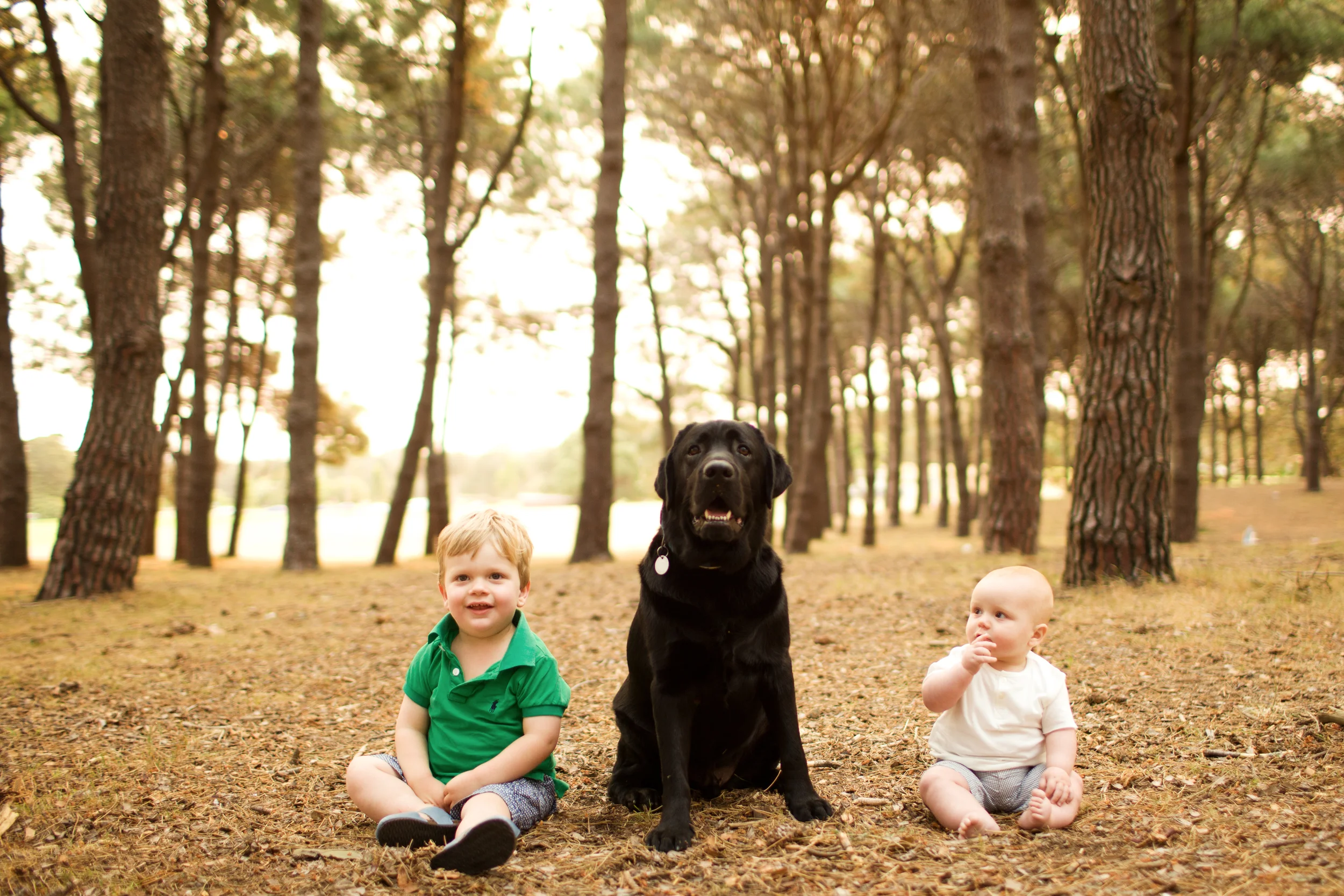 The Maternity Photographer-65.JPG