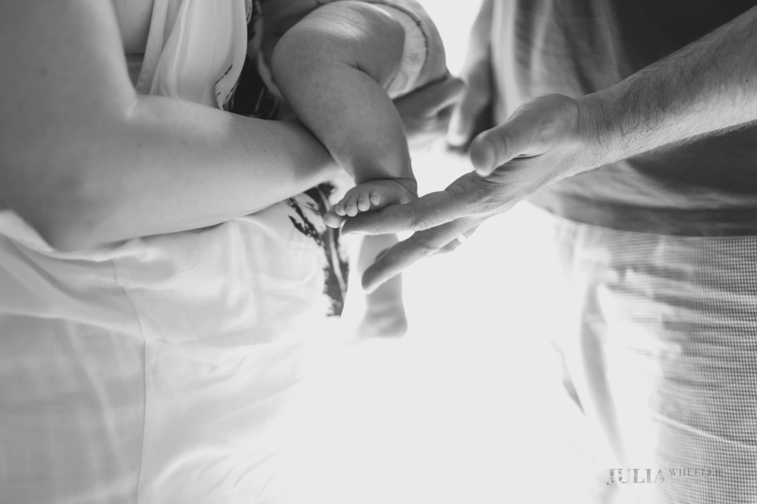 Julia Wheeler Photography-73.jpg