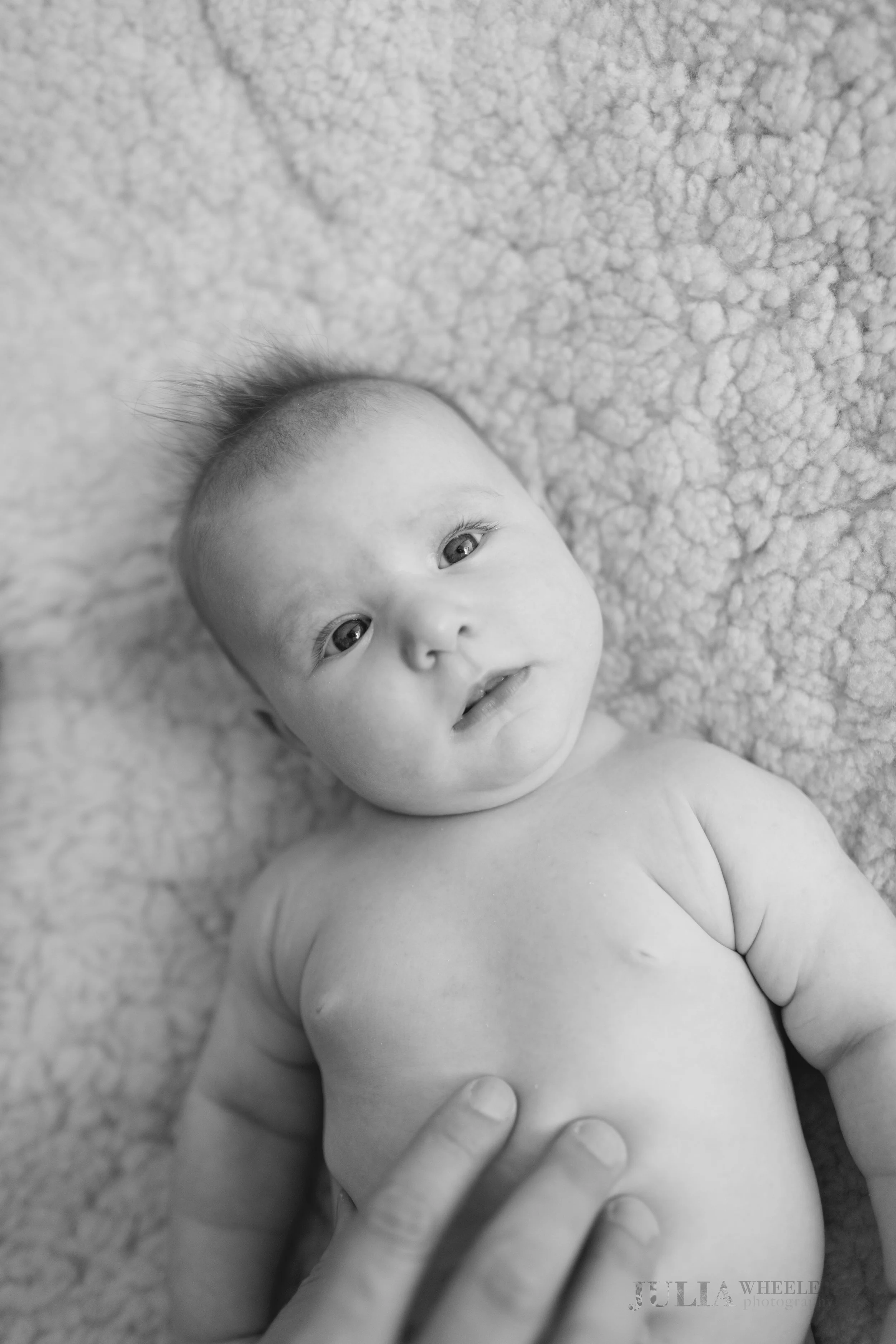 Julia Wheeler Photography-130.jpg