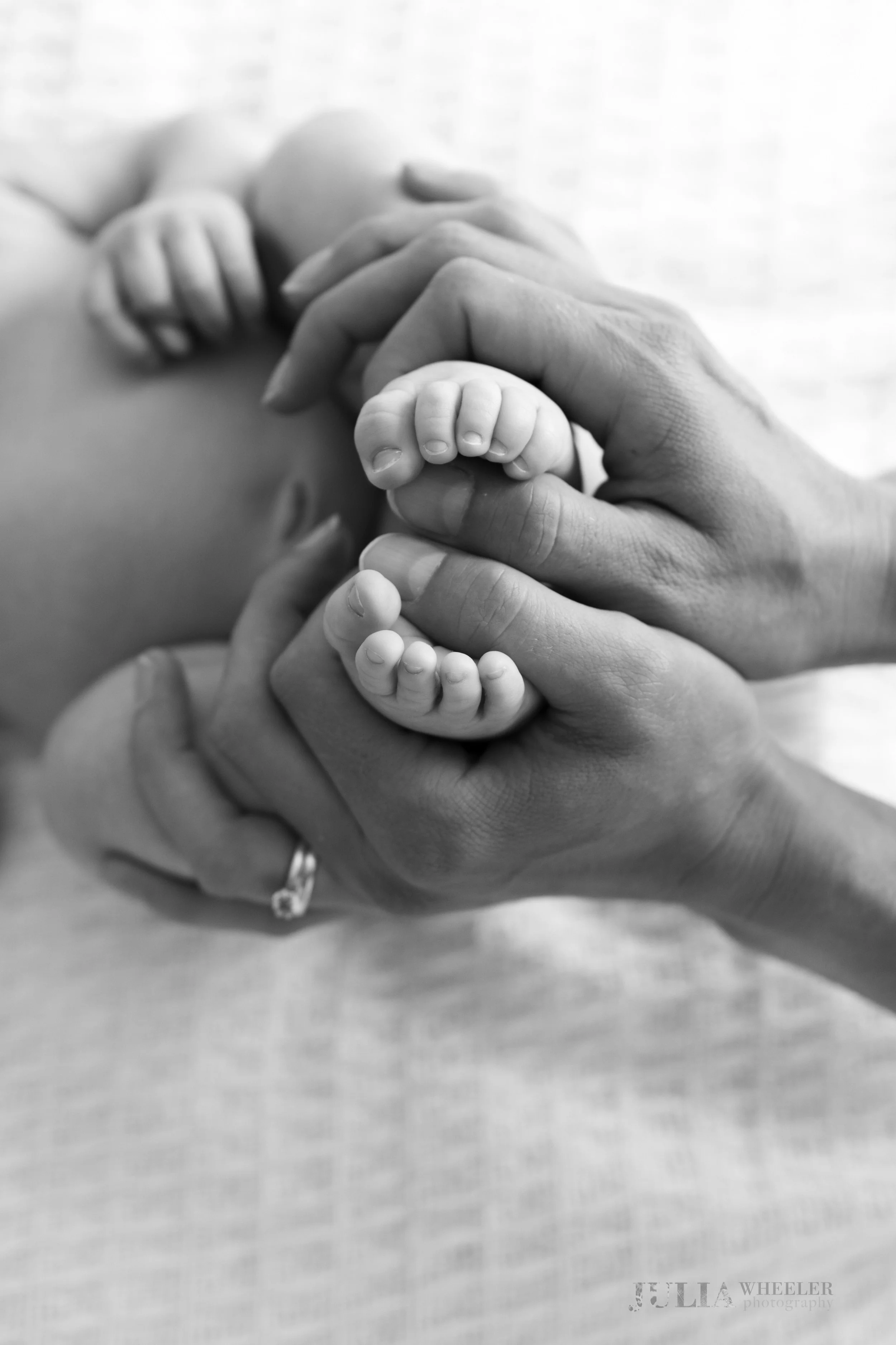 Julia Wheeler Photography-115.jpg