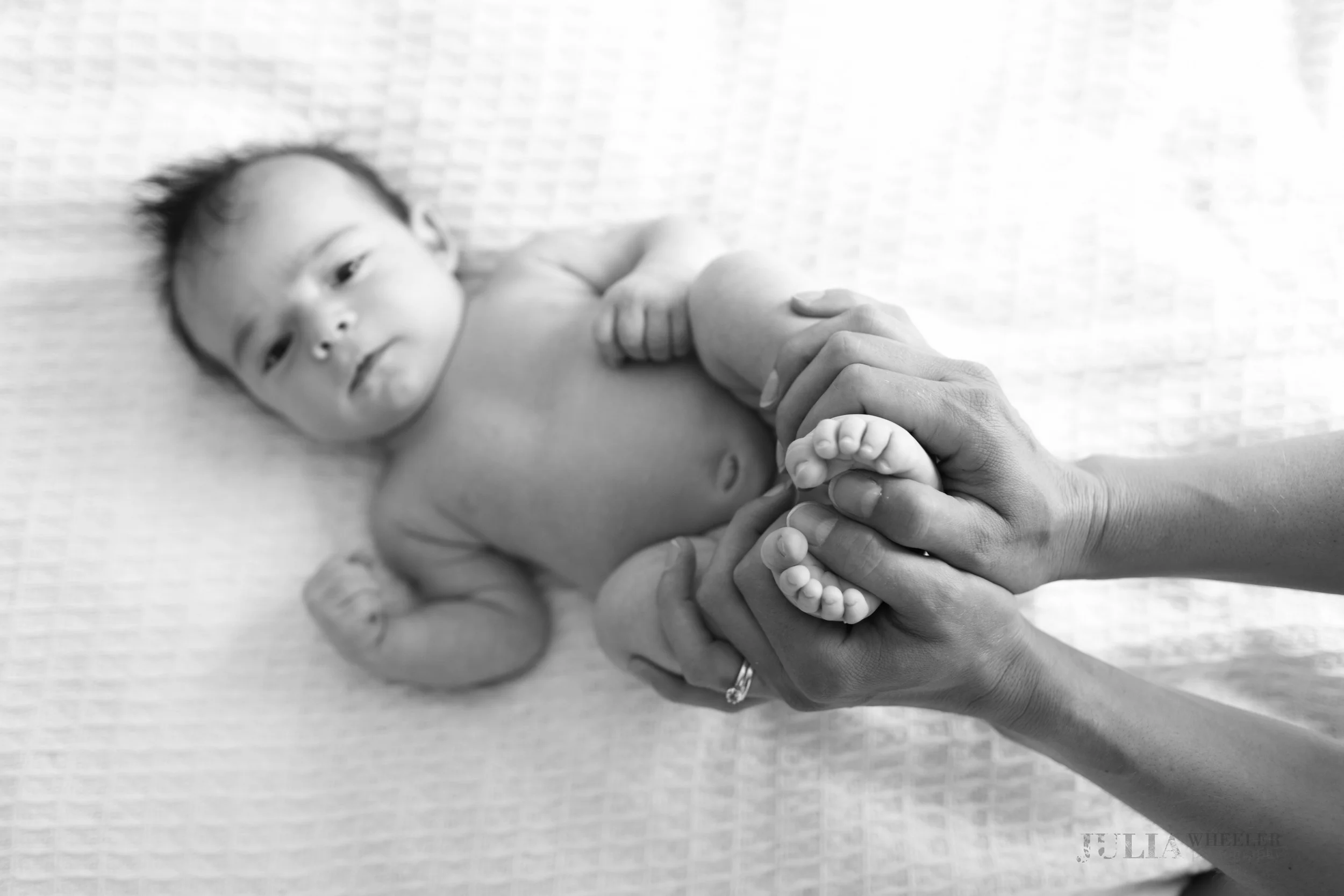 Julia Wheeler Photography-113.jpg