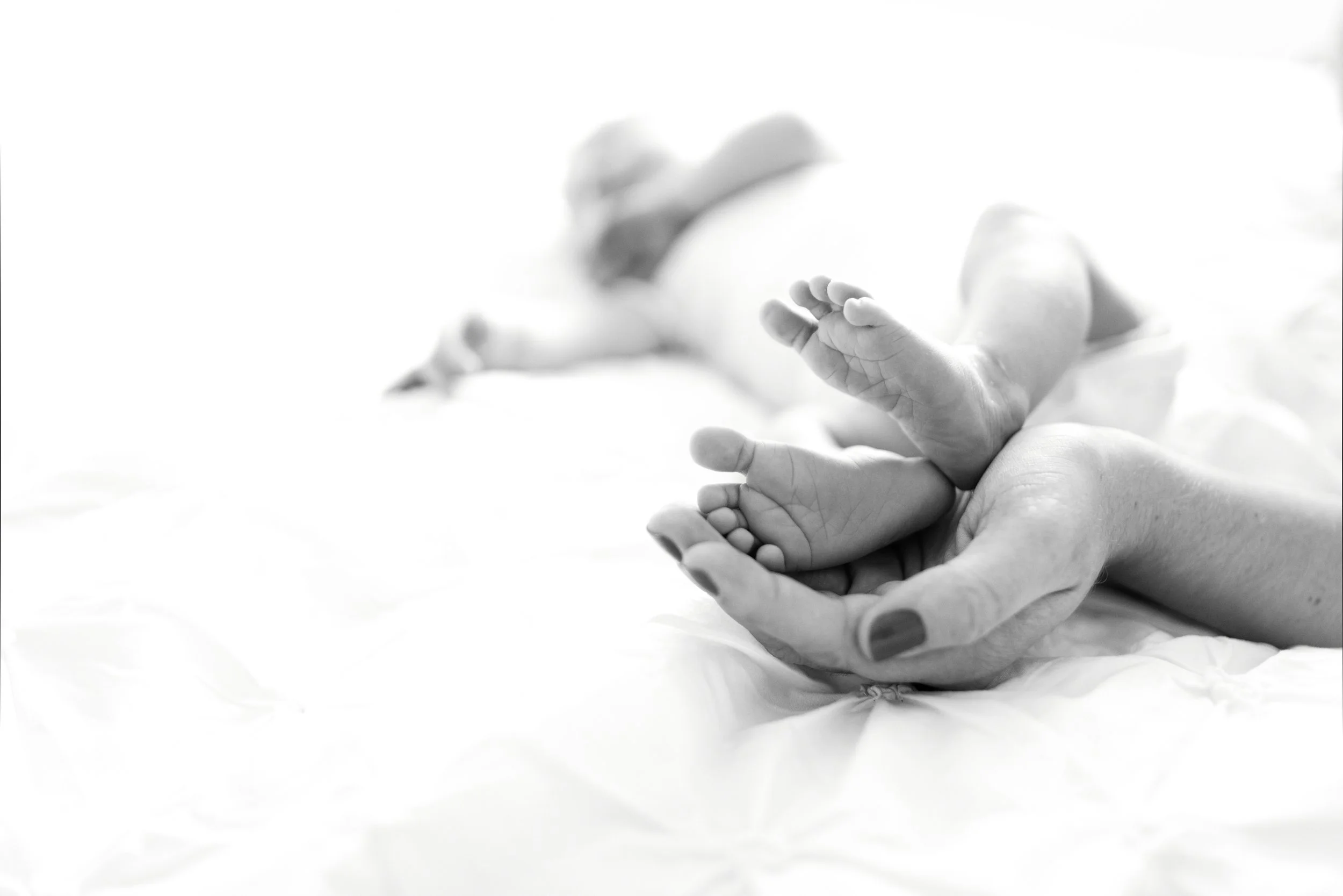 Julia Wheeler Photography-14-3.jpg